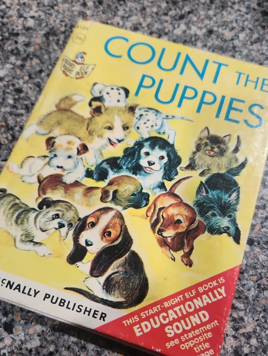 Other - Vintage Count the Puppies  Children's Book